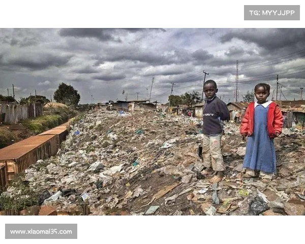 NBA非洲联赛因黄热病爆发宣布赛季提前结束 球员健康成首要考量
